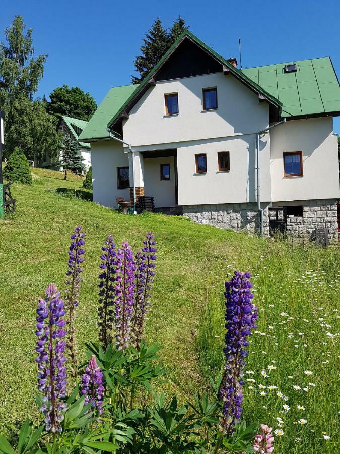 Appartamento U Kobru Špindlerŭv Mlýn Esterno foto